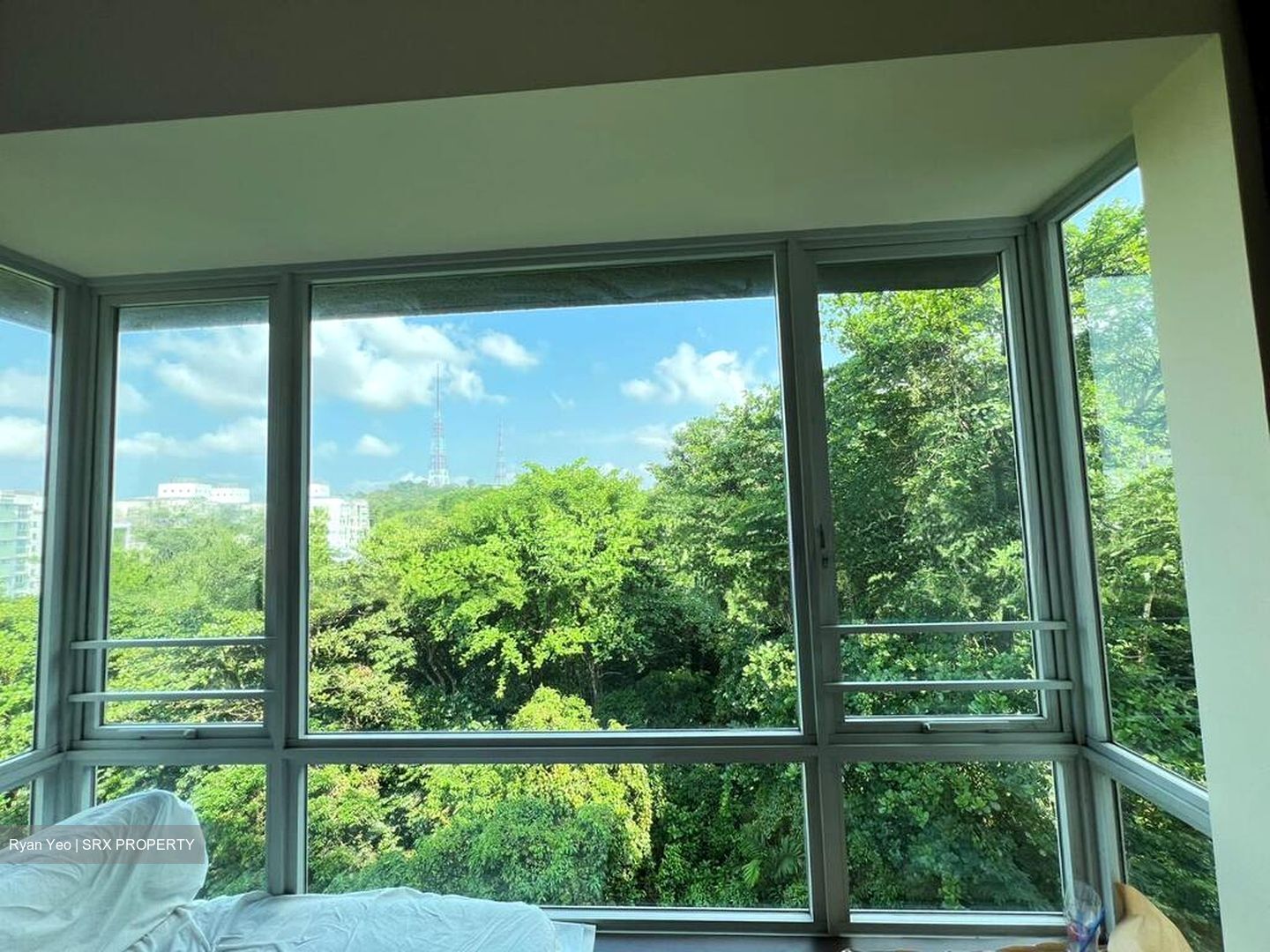 The Raintree (D21), Condominium #499792201